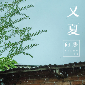 性家庭免费视频
