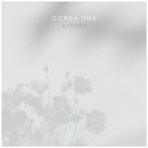 性家庭免费视频
